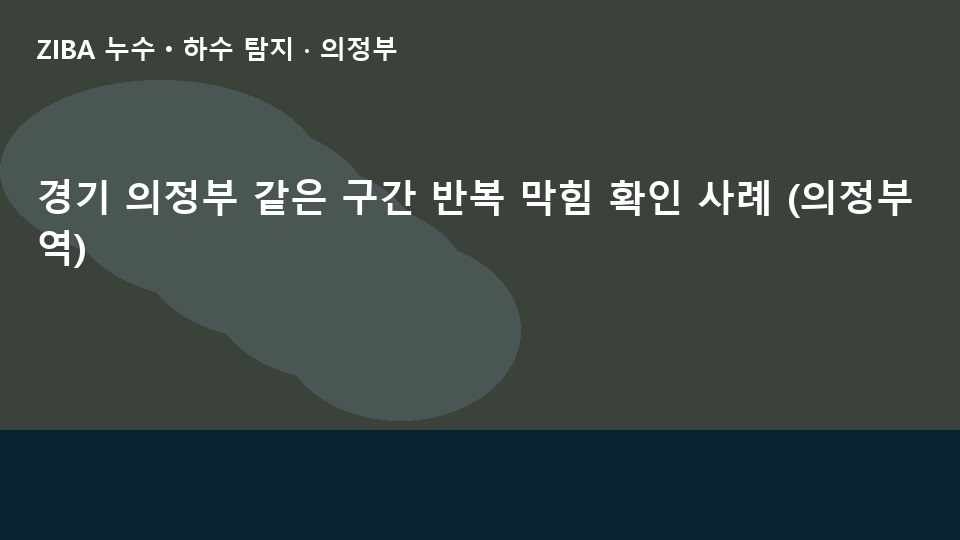 경기 의정부 같은 구간 반복 막힘 확인 사례 (의정부역)