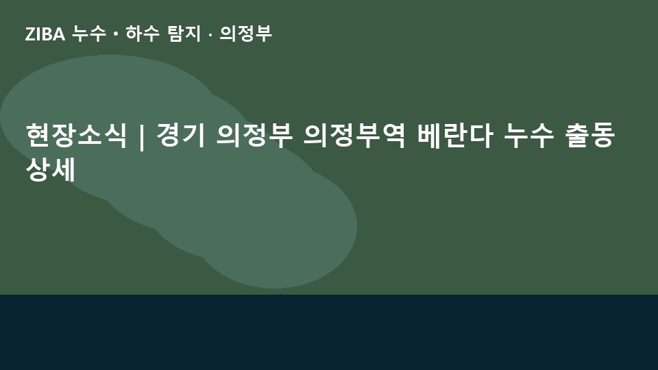 현장소식 | 경기 의정부 의정부역 베란다 누수 출동 상세