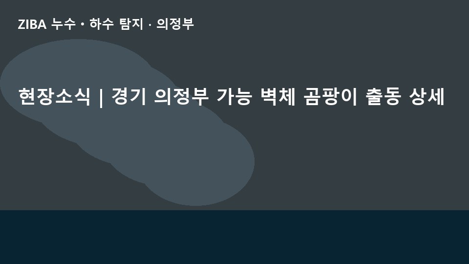 현장소식 | 경기 의정부 가능 벽체 곰팡이 출동 상세
